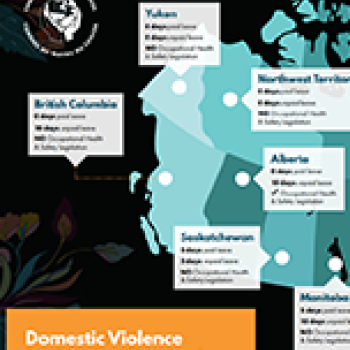 Domestic Violence Legislation Map 
